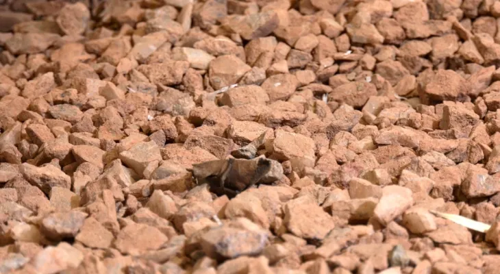 Canada begins processing rare metals used in electric vehicle operations.