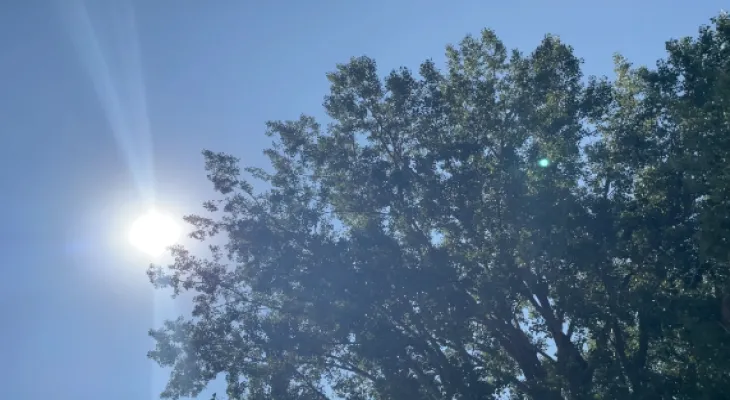 The weather agency forecasts poor air quality in Ottawa today, Friday.