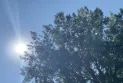 The weather agency forecasts poor air quality in Ottawa today, Friday.