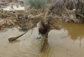 Minister of Health: The cholera outbreak in Sudan has resulted in the deaths of at least 22 people.