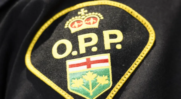 Ottawa police remind residents not to walk or bike on Highway 417.
