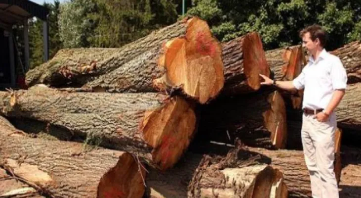 Sharp Canadian criticisms of the significant increase in U.S. tariffs on lumber