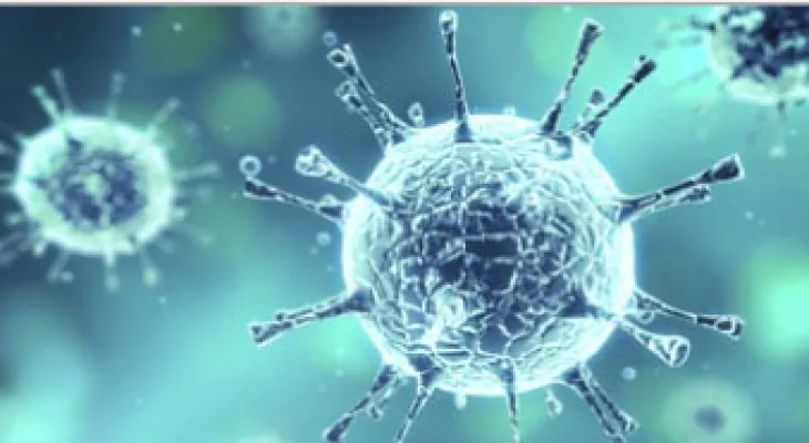 The increase in coronavirus cases in Quebec, Canada