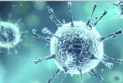 The increase in coronavirus cases in Quebec, Canada