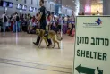 Guerre au Liban.. Suspension des vols vers et depuis l'aéroport Ben Gourion