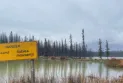Heavy rainfall in Jasper National Park slows down the fires.