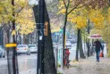 Canadian Environment Agency forecasts for temperatures and climatic conditions in Canada.