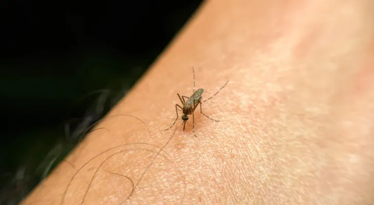 Curfew and warning for residents in a U.S. state due to the spread of a deadly virus.