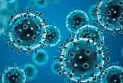 COVID-19 patients: exposed to this illness