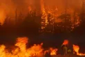 Is climate change the primary culprit for the record temperatures this summer in Canada?