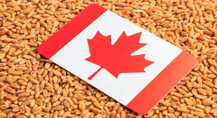Will Canada maintain its third position in the global wheat market?.... The U.S. agriculture answers!