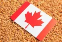 Will Canada maintain its third position in the global wheat market?.... The U.S. agriculture answers!