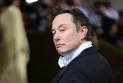 Harris's campaign apologizes for a new slip regarding Elon Musk's preferences.