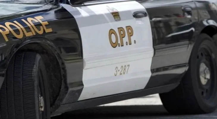 A person was hit by a car in Hawkesbury and arrest warrants were revealed against him.