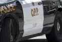 A person was hit by a car in Hawkesbury and arrest warrants were revealed against him.
