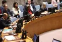 Le Conseil de sécurité international appelle à un processus politique inclusif dirigé par les Syriens.