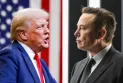Trump : Musk n'est pas qualifié pour diriger l'Amérique car il "n'est pas né ici"