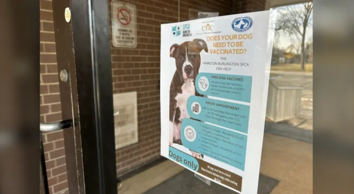 Confirmation of a parvovirus infection case in Bell River: Warnings and preventive measures