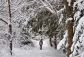 une tempête hivernale frappe le Canada accompagnée de conditions hivernales rigoureuses à travers tout le pays