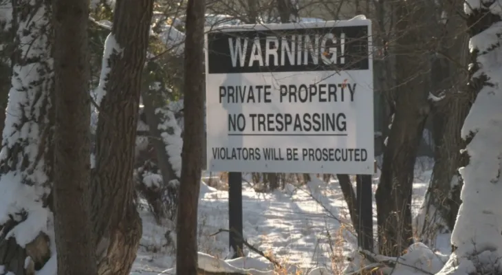 The court decides to continue a court order against a group protesting the removal of a forest in Winnipeg.