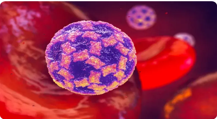 The increase in norovirus infection cases in Canada and warnings for the most vulnerable groups.