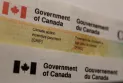 The first batch of carbon tax rebates in Canada for this year will be issued tomorrow: Here is what residents of Ontario need to know.