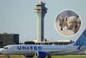 Retour d'un avion de United Airlines à Chicago après avoir percuté un loup au décollage