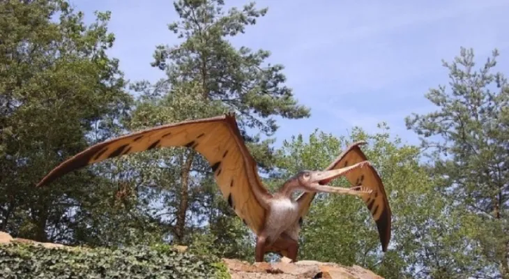 Discovery of the remains of a giant flying dinosaur in Alberta, Canada, bearing marks of an ancient crocodile's teeth.