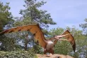 Discovery of the remains of a giant flying dinosaur in Alberta, Canada, bearing marks of an ancient crocodile's teeth.
