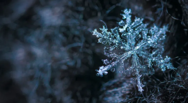 Warning of freezing drizzle in Toronto and school closures in Hamilton due to bad weather.