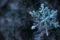 Warning of freezing drizzle in Toronto and school closures in Hamilton due to bad weather.