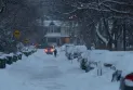 Toronto Under the Impact of a Strong Winter Storm: Snowfall of Up to 35 cm and Disruption of 56 Bus Stops