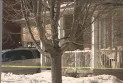 The death of a woman and her dog in a shooting incident inside a house in Markham