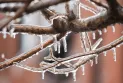 Avertissement de gel des pluies toujours en vigueur dans la région du Grand Toronto alors qu'une amélioration des conditions météorologiques est prévue.