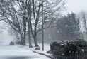 Snowfall in the Greater Toronto Area before the arrival of freezing and heavy rain.