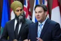 Le vétéran député Don Davies assure la direction intérimaire du Nouveau Parti démocratique au Canada
